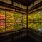 京都、秋のお約束(速報版)