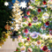 (Christmas tree)