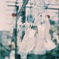 夏の記憶