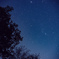 DSC_1546_1 (1)