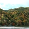 嵐山の紅葉
