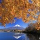 富士と紅葉