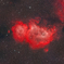 IC1848_2024.11.06