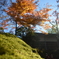 箱根美術館の紅葉