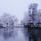 吹雪の公園