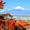 御殿場平和公園展望台より