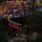 楊谷寺の朱鳥居