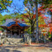 周防四之宮赤田神社①
