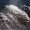 P2220641