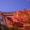 大塔と紅葉