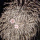 1000034620　花火　冬の彩り