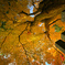 隅の紅葉