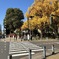 私的写真句 / iphoneスケッチ