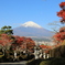 富士仏舎利搭平和公園2