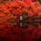 安国寺 紅葉 2