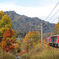 北海道・東北巡業-20