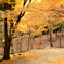 河内藤園／北九州市八幡東区