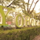YORO