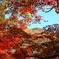 大平山をのぞく