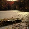 A drifting autumn boat