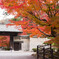 紅葉に誘われて