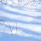 新雪