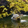 DSC00329_Original