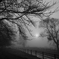A  Hazy Shade of Winter