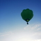 FLY TO THE TOP!