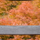 勝尾寺
