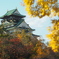 大阪城