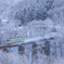 雪はすべを白く包む