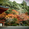 境内の紅葉01