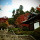 境内の紅葉02