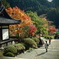 境内の紅葉04