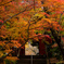 錦秋に染まる～本土寺
