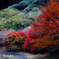 紅葉谷