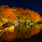 好古園 紅葉 ライトアップ 2