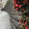 太田道灌の屋敷跡らしい