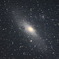 M31
