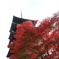 東寺2024五重塔