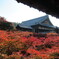 東福寺2024通天橋