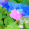 イルミネーション