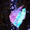 DSC09902