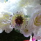 DSC09882