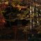 洞光寺の紅葉