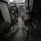 望此岸