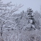大雪のあさ