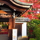 京紅葉2024＿栄摂院01　期待の門