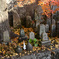 鹿児島神社の紅葉
